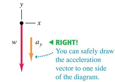 Correct free-body diagram