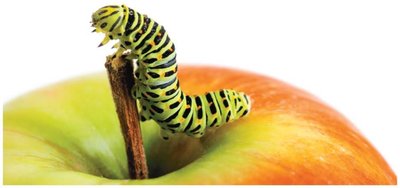 Caterpillar and friction