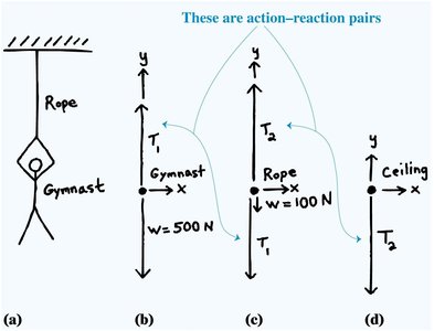 Free-body diagrams for one-dimensional equilibrium
