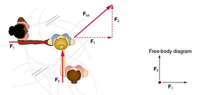 Free-body diagram showing vector addition of forces