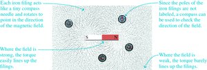 Iron filings reveal the magnetic field around a bar magnet.