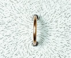 Magnetic field lines around a current loop.