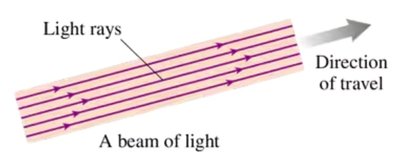 Light rays from the sun and reflected by a tree, as seen by a camera