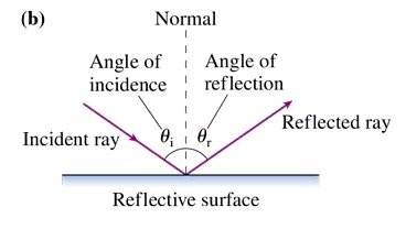 Diagram showing incident ray, reflected ray, and normal with angles of incidence and reflection
