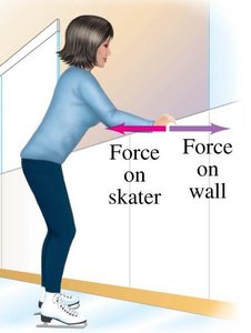 Free-body diagram of a sled and assistant