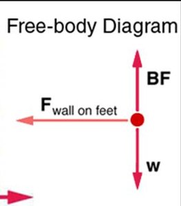 Free-body diagram of a skater pushing on a wall