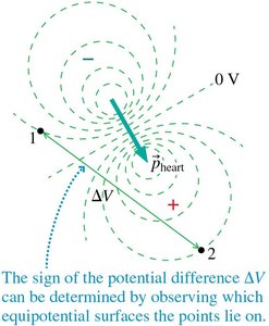 Equipotential surfaces of the heart's electric dipole