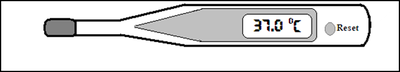 Digital thermometer