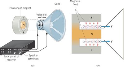 Diagram of a loudspeaker showing the force on the voice coil in a magnetic field