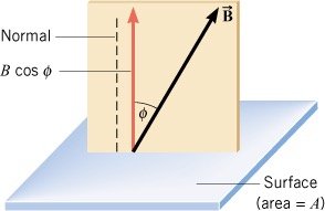 Diagram showing the calculation of magnetic flux with angle phi