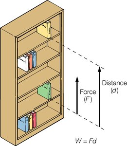 Work done by lifting books on a shelf: force times distance