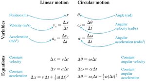 Linear and circular motion analogs