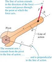 Torque: moment arm and line of action
