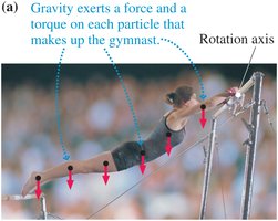 Gravity exerts torque on each particle