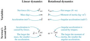 Linear and rotational dynamics analogs