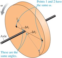 Rigid body rotation: same angular velocity, different linear speeds
