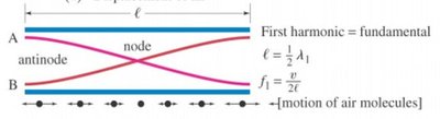 Standing wave in open tube, first harmonic