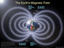 The Earth's magnetic field lines