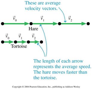 Motion diagram of the tortoise racing the hare