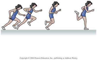 Motion diagram of a sprinter accelerating