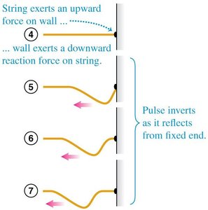 Reflection of a wave pulse at a fixed end
