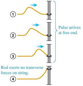 Pulse reflection at a free end (arrival)