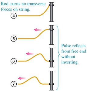 Pulse reflection at a free end (reflection)