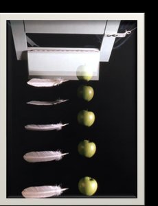 Feather and apple in free fall