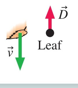 Drag force on a leaf
