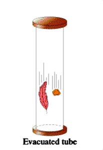Evacuated tube with feather and stone