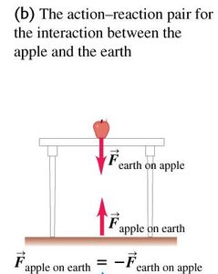 Action-reaction pair: apple and table