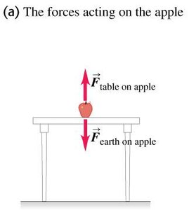 Forces acting on apple