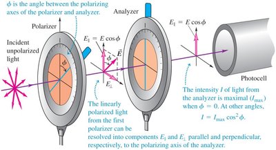 Malus's law and polarizing filters