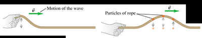 Transverse wave on a rope