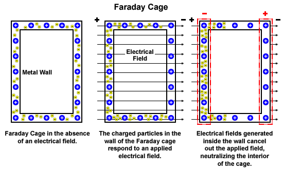 Faraday Cage with field lines and charge distribution