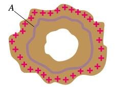 Gaussian surface with internal charge