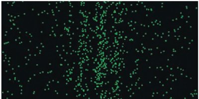 Photon interference pattern (early stage)