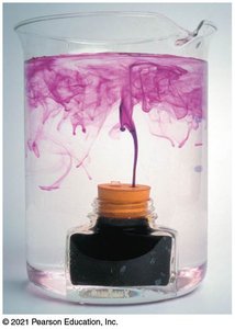 Convection in a fluid