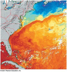 Infrared radiation from ocean waters