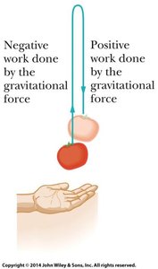 Diagram showing negative and positive work done by gravity