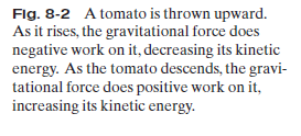Text explaining work done by gravity on a tomato