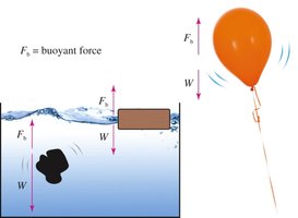 Buoyant force and floating/sinking objects