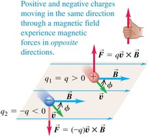 Opposite charges experience opposite forces