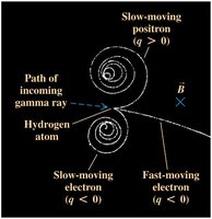 Bubble chamber tracks