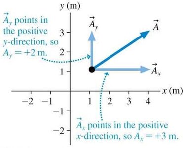 Vector components in positive x and y directions