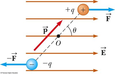 Torque on an electric dipole in a uniform field
