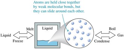 Liquid phase: atoms held close together, slide around each other