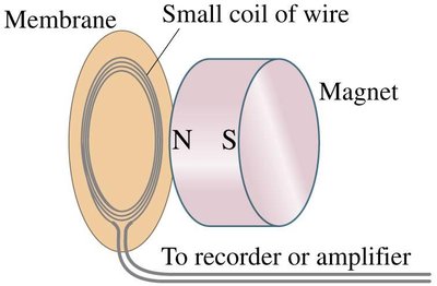 Induction microphone diagram