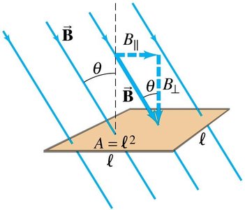 Variables in the magnetic flux equation