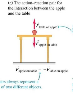 Action-reaction pair: foot and ball